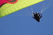 30 - Grouse Mountain - IMG_1541
